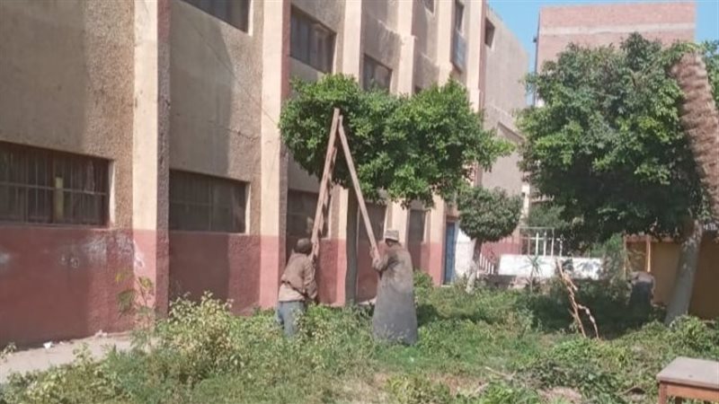 تهذيب أشجار حدائق