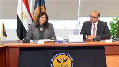 الهجرة والرقابة المالية يبحثان فرص زيادة استثمارات المصريين بالخارج