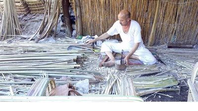 حكاية صناعة الأقفاص وهروب الشباب منها بعد ارتفاع أسعار الجريد 