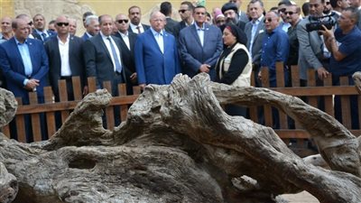 وزيرا التنمية المحلية والسياحة والآثار ومحافظ القاهرة يفتتحون منطقة شجرة مريم 