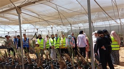 وحدة التضامن الاجتماعي بجامعة الوادي الجديد تنظم زيارة لمشروع وقف النخيل 