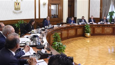 الحكومة: صندوق مصر السيادي مملوك للدولة بالكامل