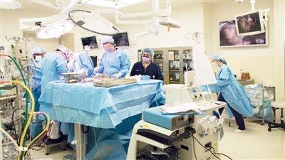 ماذا يترتب على تربح ورثة متبرع الأعضاء البشرية فائدة مادية أو عينية؟ 