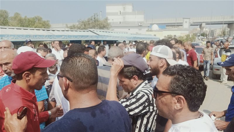 الاسكندريه 