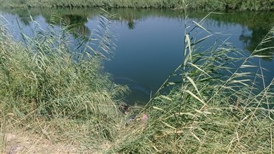 مصرع شخص غرقا سقطت به السيارة في ترعة الفاروقية بسوهاج |صور 