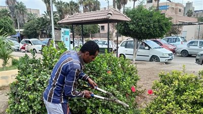 رفع 305 أطنان قمامة وأتربة من شوارع المنصورة |صور 