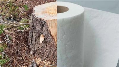 شركة ألمانية تستخدم نفايات القهوة في صناعة ورق التواليت 