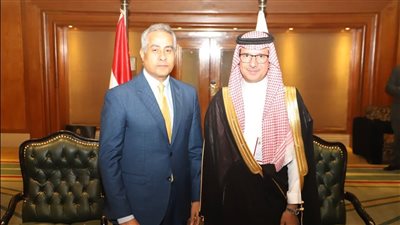 وزير القوى العاملة يبحث التعاون المشترك مع نظيره السعودي 