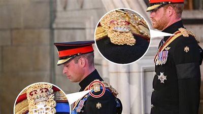 الديلي ميل تكشف سبب إحباط الأمير هاري خلال الجنازة.. وعلاقته باسم الملكة إليزابيث