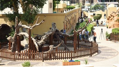 تفاصيل عمليات ترميم وتطوير شجرة العذراء مريم ضمن نقاط مسار العائلة المقدسة