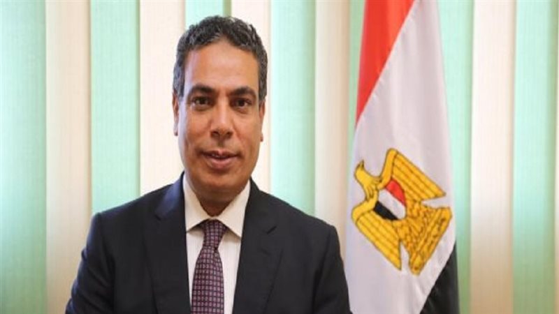 د. عادل عبدالغفار