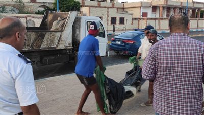 بسيارة نقل ثقيل.. لحظة نقل دولفين نافق على شاطئ مطروح العام لدفنه| صورة