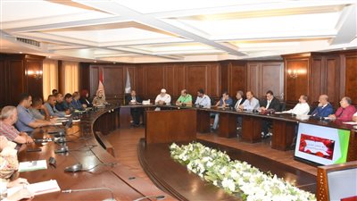 محافظ الإسكندرية يناقش آليات تنفيذ مبادرة 