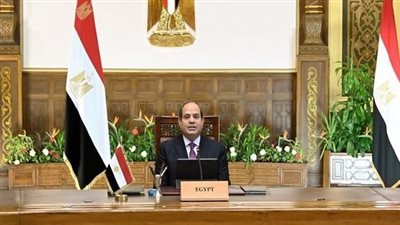 السيسي يبحث التعاون مع مجموعة ميرسك العالمية لإنتاج الطاقة الخضراء والوقود النظيف للسفن