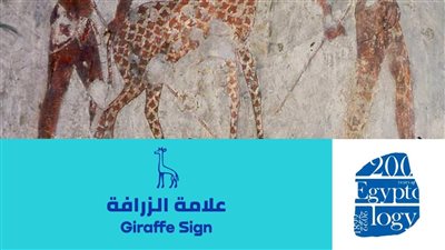 كنز في محافظتك.. تعرف على علامة 