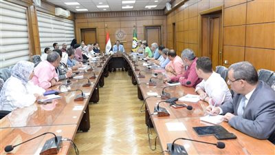 محافظ الدقهلية يتابع الموقف التنفيذي لتوصيل المرافق لمشروع مساكن شرق المنصورة