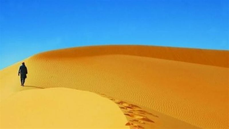 تفسير حلم المشي في