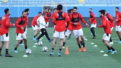 قبل ودية الجمعة.. القيمة التسويقية لمنتخب النيجر بـ 21 محترف أقل من منتخب مصر 34 مرة 