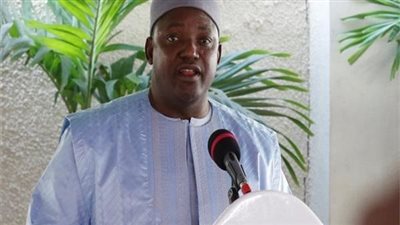 بحضور رئيس جامبيا.. افتتاح أول مركز للتدريس باللغة العربية في غرب أفريقيا