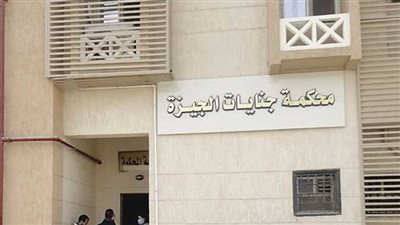 رفع جلسة محاكمة الطبيب المتهم في التسبب بوفاة وائل الإبراشي