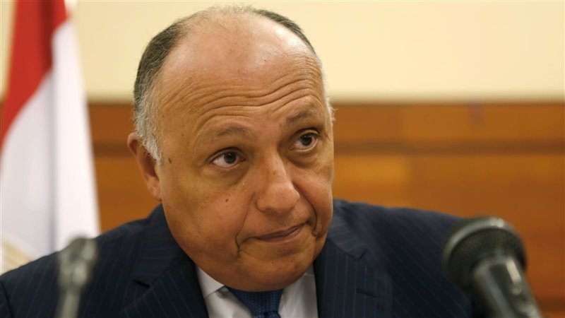 وزير الخارجية يلتقي