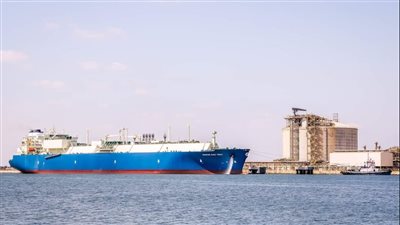 بينها ناقلة غاز مسال عملاقة.. تداول 26 سفينة بضائع متنوعة بميناء دمياط 