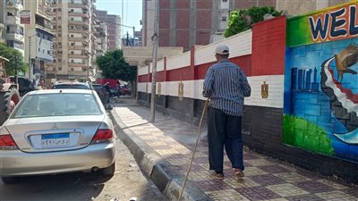 رفع 313 طن قمامة وأتربة من شوارع وميادين الدقهلية | صور