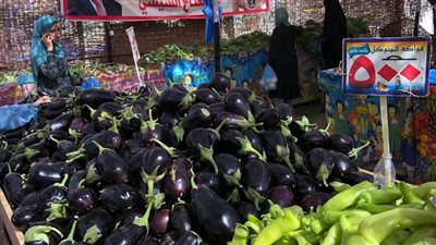 الغرفة التجارية بالإسماعيلية توضح أسباب ارتفاع أسعار الطماطم| صور