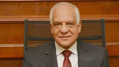 رشا فتحي مديرا عاما للموارد البشرية بمجلس مدينة الجيزة الجديدة