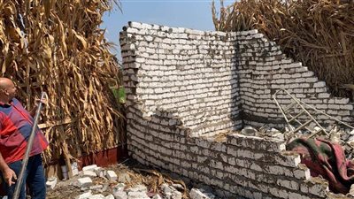 إزالة 3 حالات بناء مخالف وحملات لرفع الإشغالات وتكثيف جهود النظافة | صور