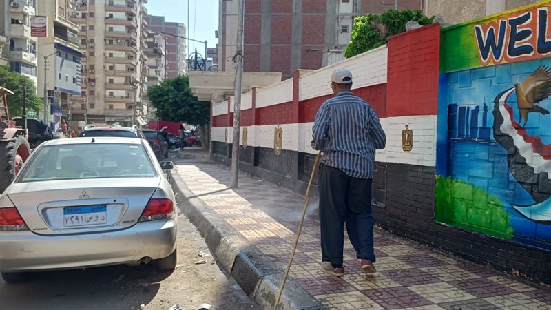 حملات نظافة بالدقهلية