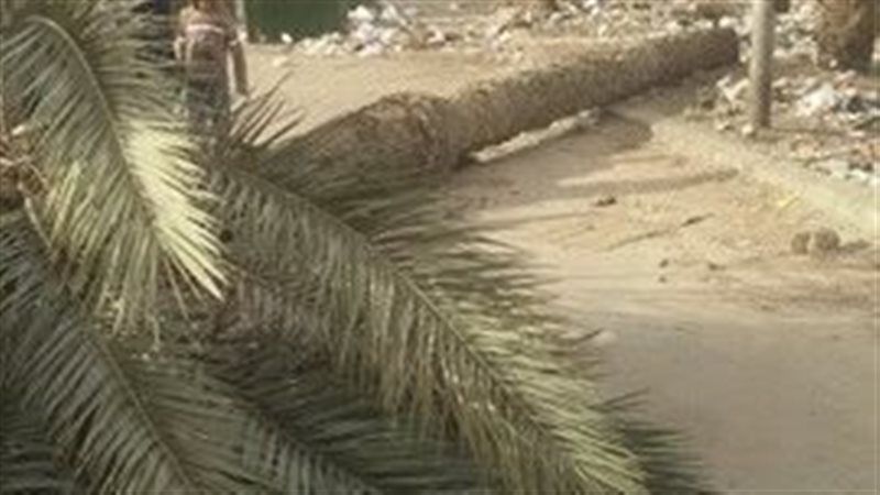 إصابة عامل سقطت عليه