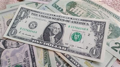 بعد وصول الدولار لأعلى مستوى في 20 عاما.. هل يتم تحرير سعر الصرف؟