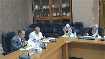 محافظ شمال سيناء يؤكد أهمية مبادرة المشروعات الخضراء الذكية 