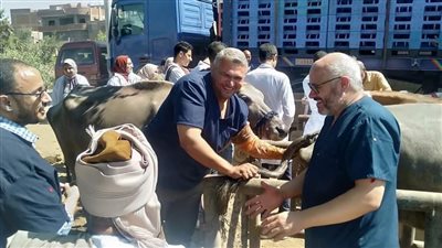 طب بيطري المنوفية تنظم قافلة علاجية بكفر أبو الحسن
