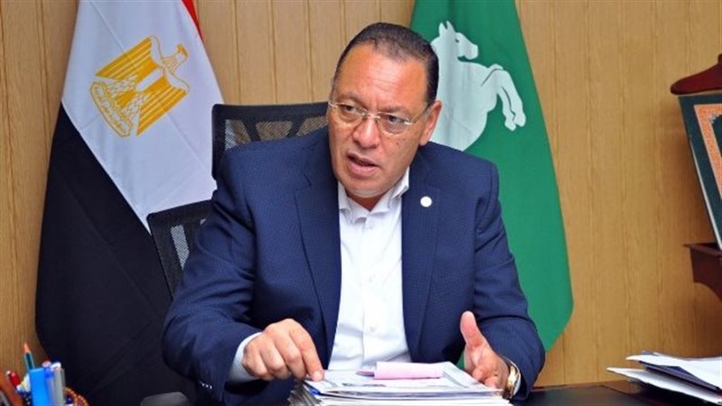 محافظ الشرقية