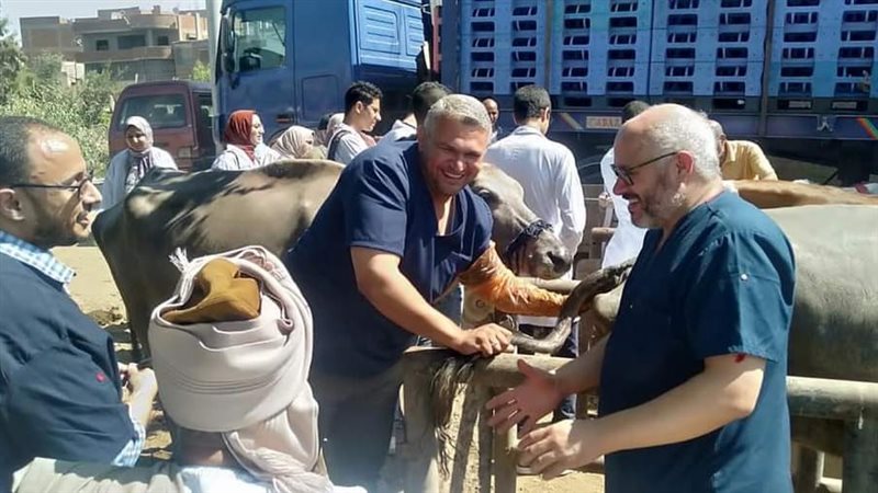 طب بيطري المنوفية