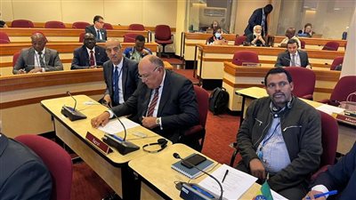 وزير الخارجية يشارك في اجتماع لجنة رؤساء الدول والحكومات الأفارقة حول تغير المناخ بنيويورك