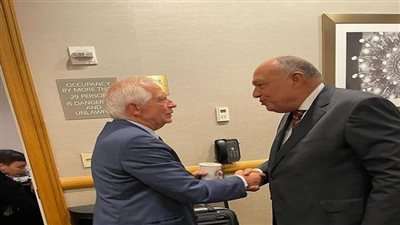 شكري يلتقي الممثل الأعلى للشئون الخارجية والسياسة الأمنية للاتحاد الأوروبي 