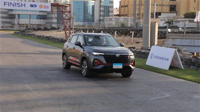 الوكيل المحلي لـ