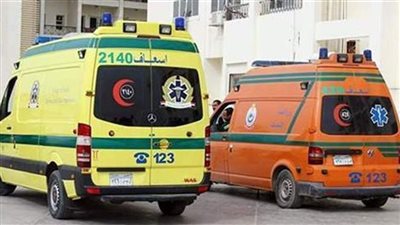 إصابة فتاة بحالة تسمم بعد تناولها حبة الغلال بالشرقية