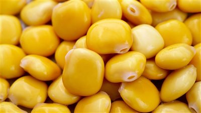 طريقة عمل الترمس السريع فى المنزل 