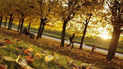 يستمر 89 يوما و20 ساعة و44 دقيقة.. اليوم بدء الخريف فلكيا