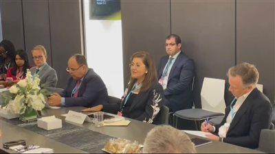 وزيرة التخطيط تشارك بالمائدة المستديرة 