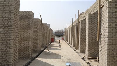 مصدر: افتتاح سوق السمك بالجيزة يناير المقبل