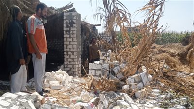 حملات لإزالة التعديات على أملاك الدولة والأراضي الزراعية بالدقهلية