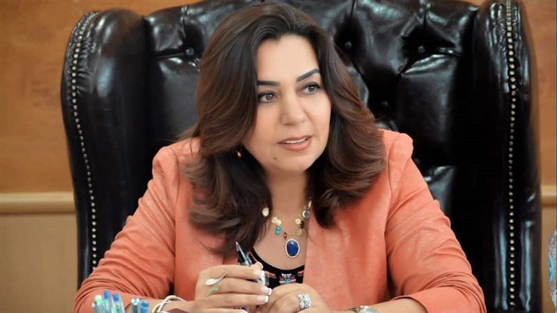 محافظ دمياط