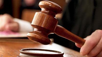 تأجيل محاكمة شقيقين لاتهمامهما بقتل جارهما بشق الثعبان لـ 25 أكتوبر 