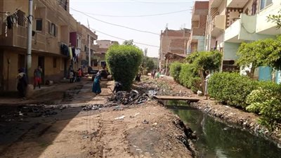 تطهير مصرف أم دينار البحري بمركز منشأة القناطر في الجيزة | صور