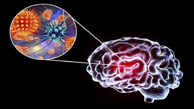 العثور على كائن حي يتغذى على الفيروسات لأول مرة 